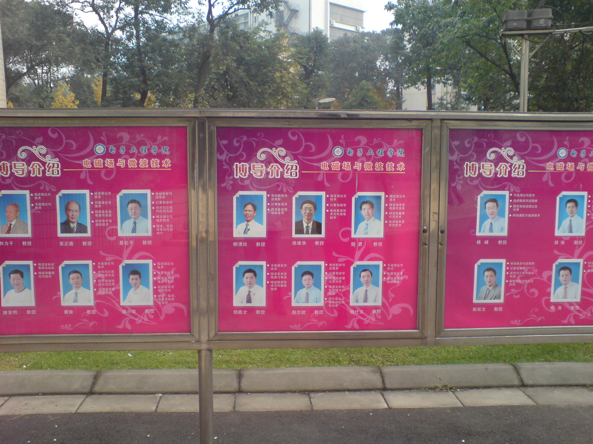 DSC00538.JPG
