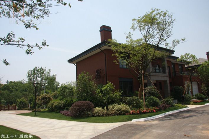 134.jpg