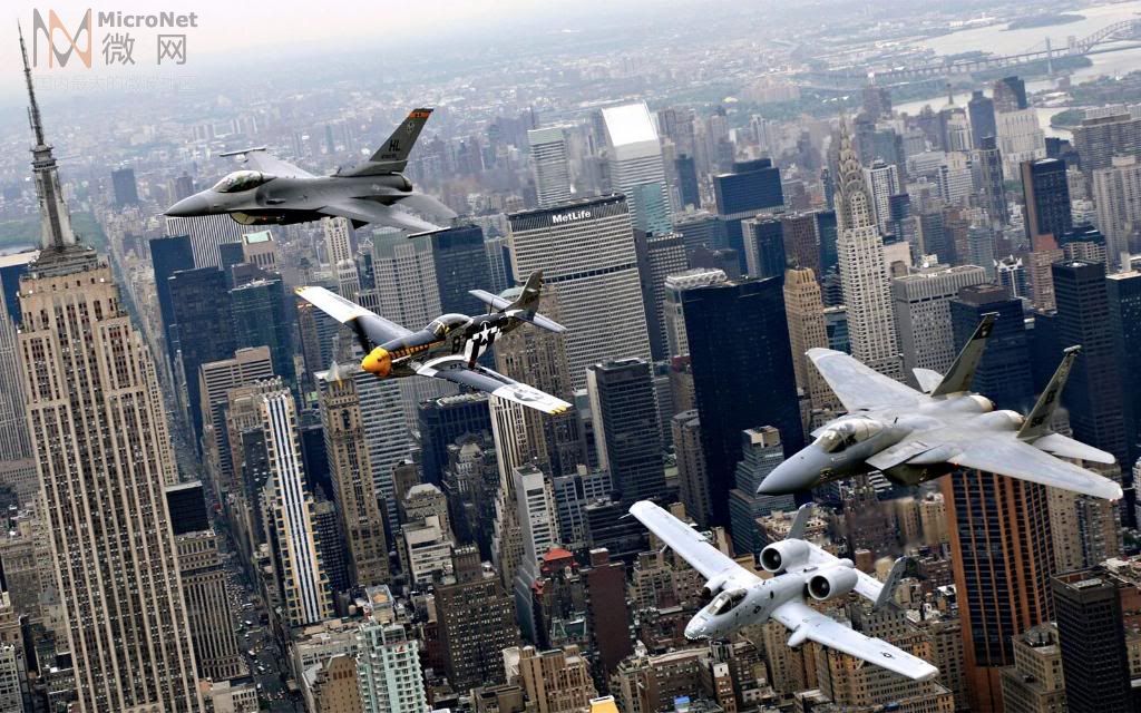 23493_20090502165024226wX7.jpg