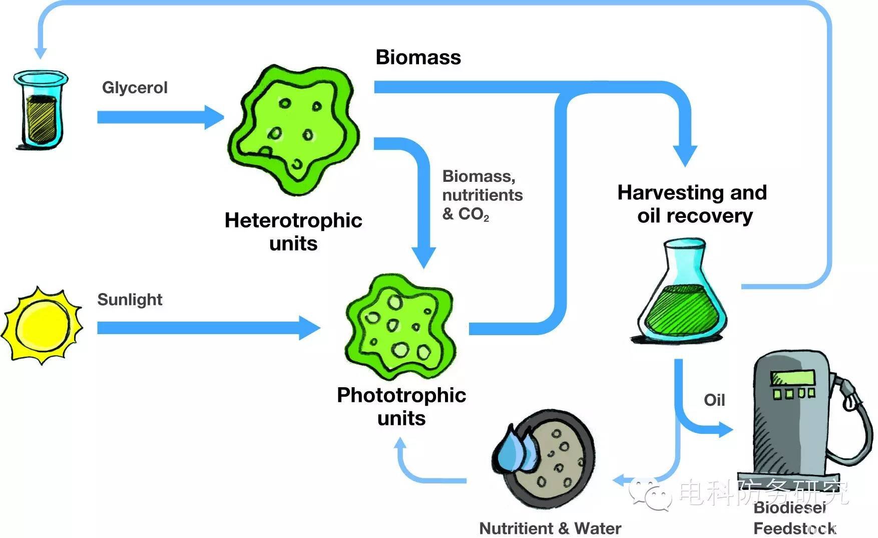 【Military Biotechnology】颠覆未来作战的前沿技术系列之军用生物技术