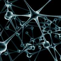 微波与神经网络